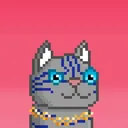 IOTA Pets