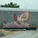 The Shed :3 Discord Server Icon