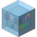 TheFishGuy’s Tank