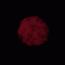 Cᴀsᴛʟᴇ Oғ Gʟᴀss - discord server icon