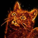 Home for KATs