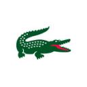 Lacoste icon
