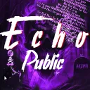 Echo [Public]