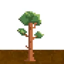 YieldTrees