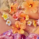 /plumeria Discord Server Icon