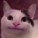 TEEN CHAT