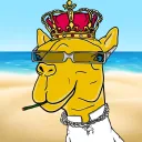 Camel Gang Club