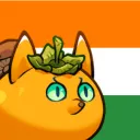Axie Infinity India