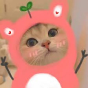 🏠GĐ vui vẻ 🫶🏻