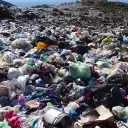 The Dump