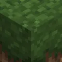 FA_server