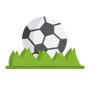 Sports Betting