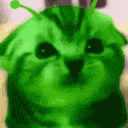 Alcateia Cósmica ᯓ🛸🐾