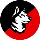 Northeastern Fall 22 Transfers