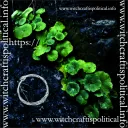 #WitchcraftIsPolitical Banner