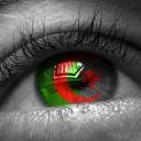 Les algerien(nes) 🇩🇿