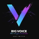 BigVoice