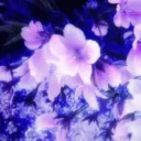 ⛩ 🌸 • Harmony | Fun & Safe • 🌸 ⛩