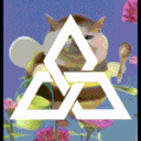 Falkner-Muir | Newquay Funky Family Club House