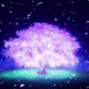   ┊ + ̊.+ Sugar Blossoms 13+   ┊+ ̊ ̊  𓂃   -*ART *COMMS *games *social *fandoms *ocs *adopts *emotes Discord Server Icon