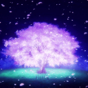   ┊ + ̊.+ Sugar Blossoms 13+   ┊+ ̊ ̊  𓂃   -*ART *COMMS *games *social *fandoms *ocs *adopts *emotes Discord Server Icon