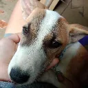 Æ RANTS Discord server icon