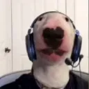 Walter Gaming