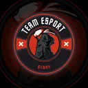 Team Esport Glory