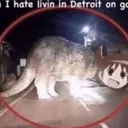 detroit