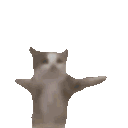 Cat Girl Gang System Discord server icon