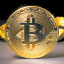 PUMP TO THE MARS   (COIN PUMPING) Server Icon