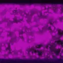 𝕄𝕆ℝ𝔸ℍ𝕍𝔼ℝ𝕊𝔼: Stargazer’s Inn