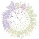 DhammaCharts