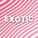 Exotic's Services