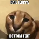 Matvey's Floppas Hangout Server