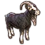 Lari's Addons