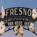 not another Fresno server