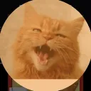 𝕋𝕙𝕖 𝕋ℂ𝕊 𝕋𝕣𝕒𝕚𝕟