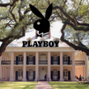 ã€Œ18+ã€Playboy Plantation Server Icon