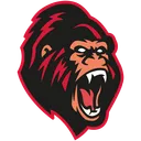 MonkeyMC Network