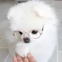 通話鯖