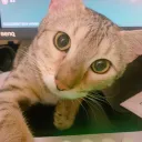 (株)なりぷろだくしょん