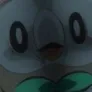 Rowlet's Party