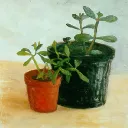 Амелия
