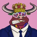 angry bulls official club