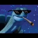 23 grinders