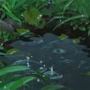 oyi 🌿