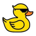 Quack Coders Discord server icon