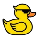 Quack Coders