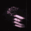 Death・Rose 🥀|TMOFFICIAL